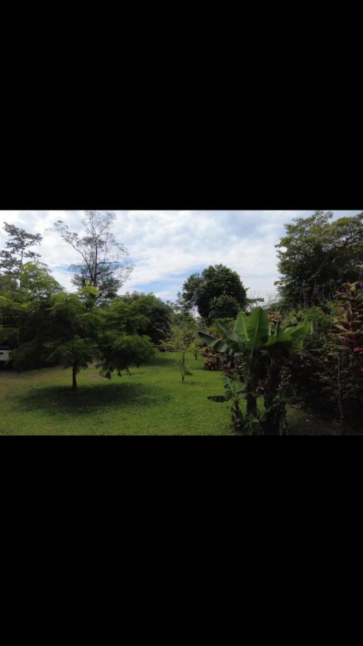 Arenal Hostel La Catarata La Fortuna Εξωτερικό φωτογραφία