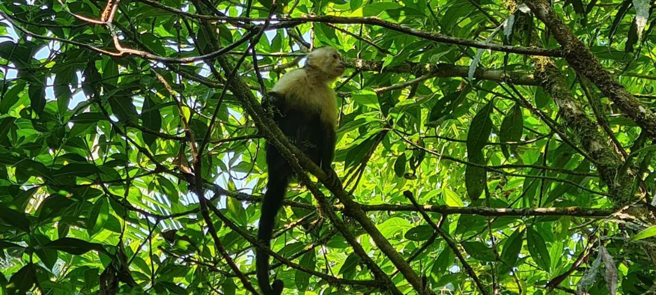 Arenal Hostel La Catarata La Fortuna Εξωτερικό φωτογραφία